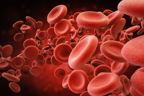 Allogenic Stem Cells